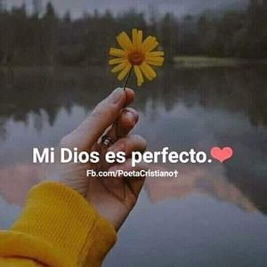 Meet your Posher, Adela